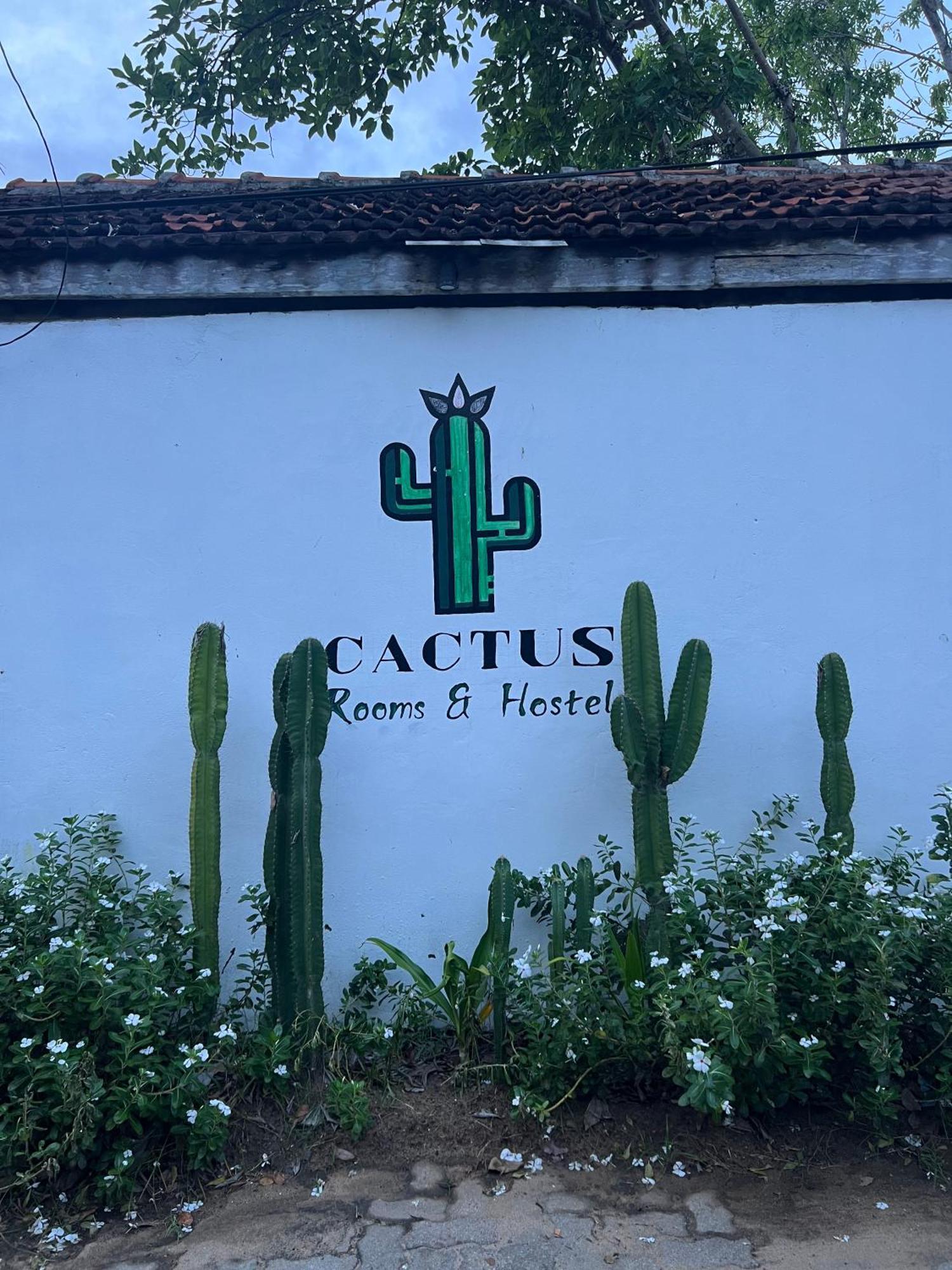 Cactus Arugambay Hostel Arugam Bay Exterior foto