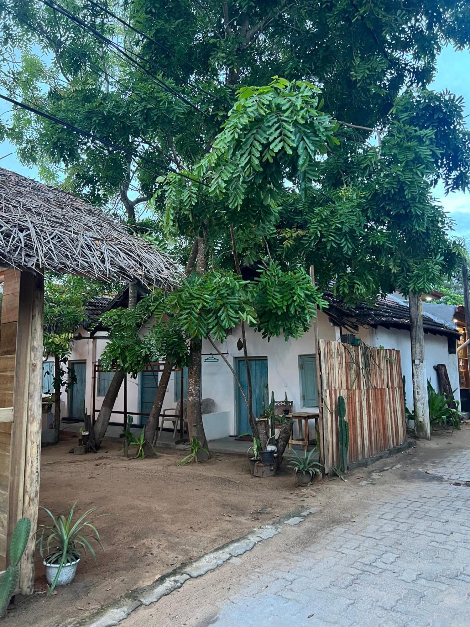 Cactus Arugambay Hostel Arugam Bay Exterior foto